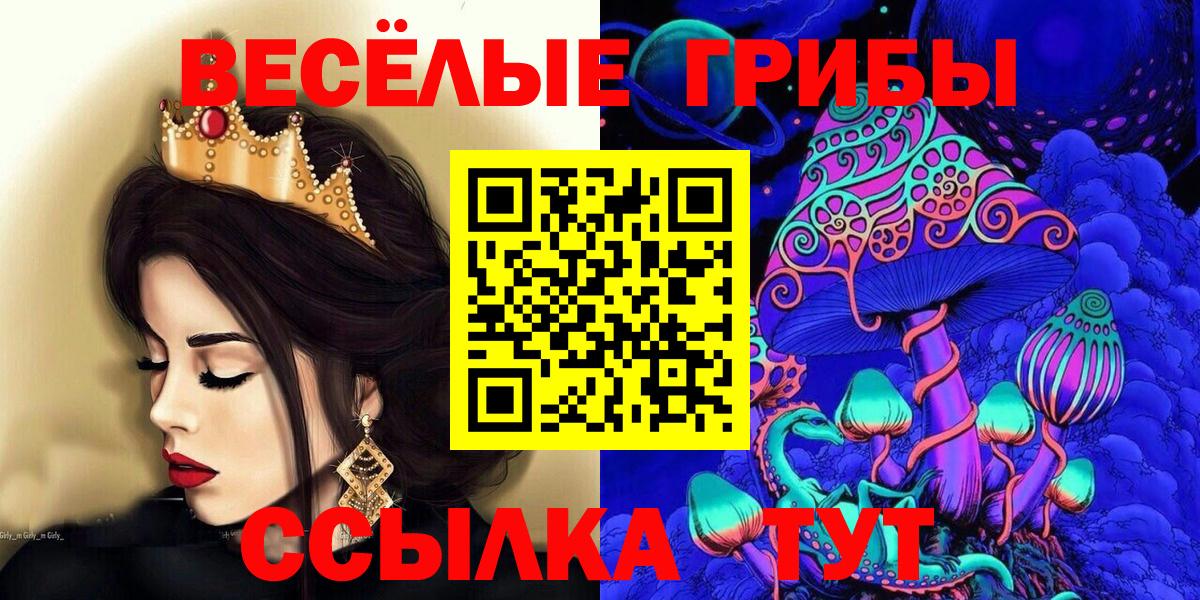 Галлюциногенные грибы GOLDEN TEACHER Сунжа