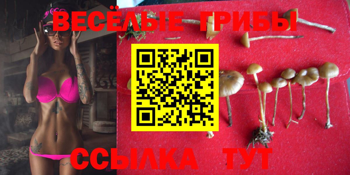 Сунжа  Галлюциногенные грибы GOLDEN TEACHER  где можно купить наркотик  Вход с VPN 