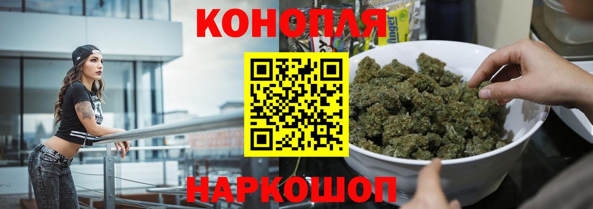 Каннабис ГИДРОПОН Сунжа